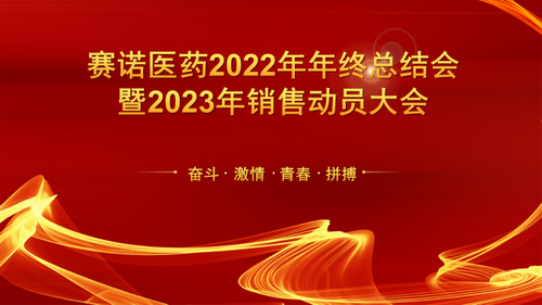 爱游戏全站app官网入口子公司2022年度工作总结会